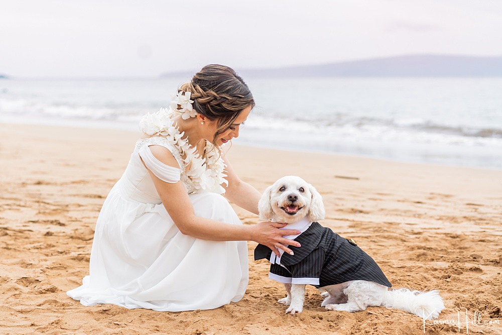 bride with dog on Maui beach 