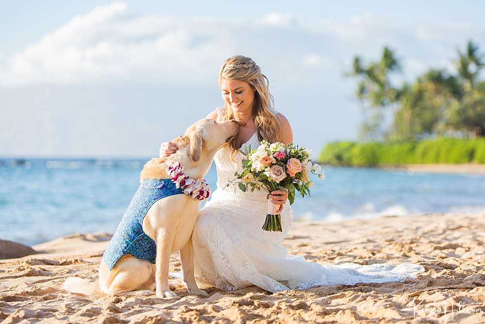 wedding on maui with dog