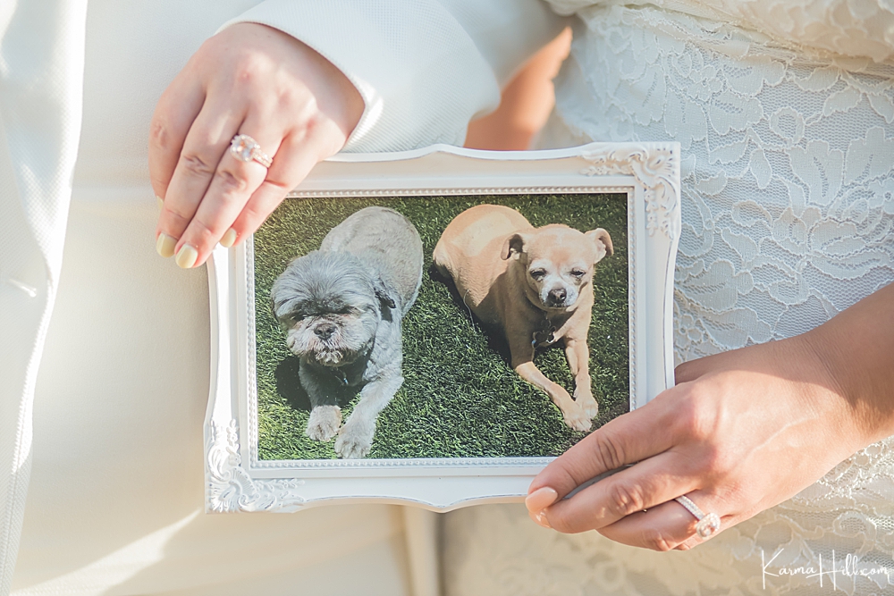 creative way to include pets in wedding 