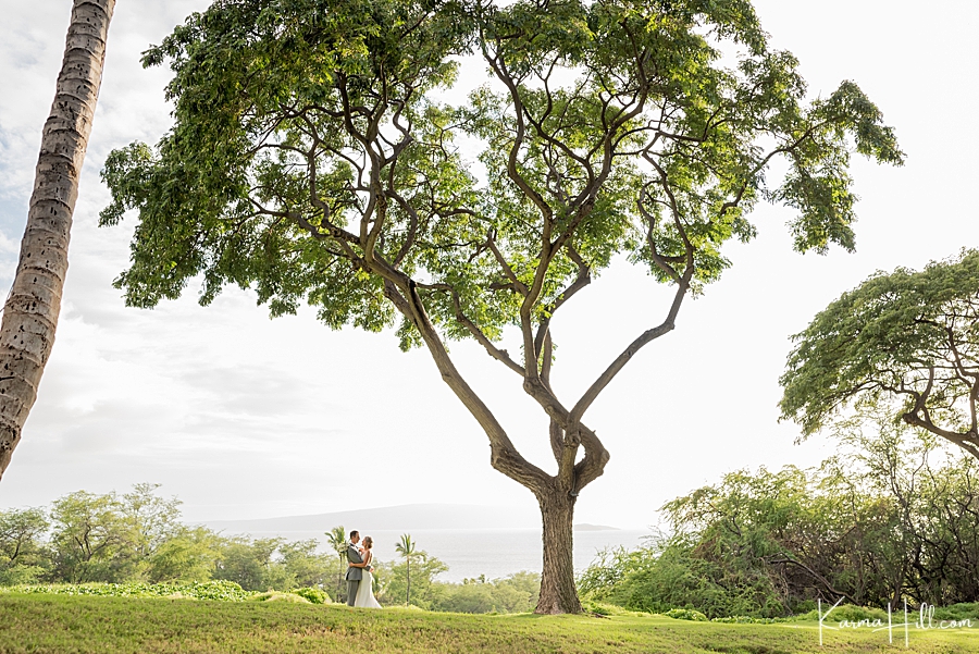 bride and groom pose under large tree in hawaii 