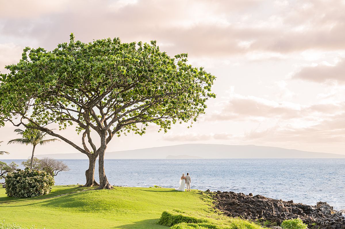 Maui Venue Wedding